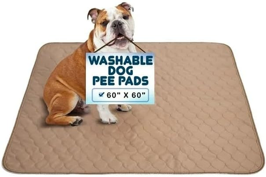 Eco Puppy Training Pad